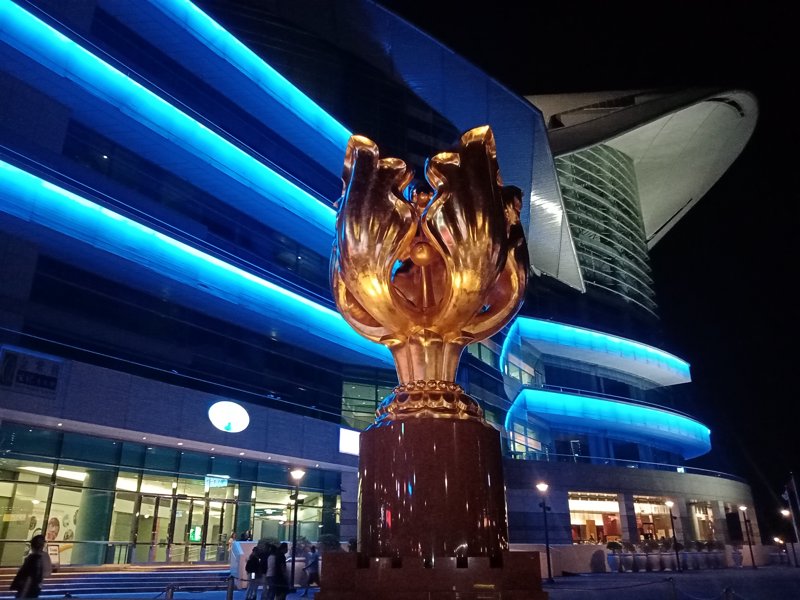 进口代理市场洞察与发展策略